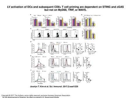 LV activation of DCs and subsequent CD8+ T cell priming are dependent on STING and cGAS but not on MyD88, TRIF, or MAVS. LV activation of DCs and subsequent.