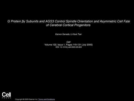 G Protein βγ Subunits and AGS3 Control Spindle Orientation and Asymmetric Cell Fate of Cerebral Cortical Progenitors  Kamon Sanada, Li-Huei Tsai  Cell 