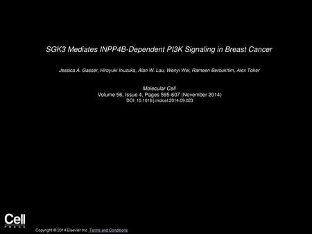 SGK3 Mediates INPP4B-Dependent PI3K Signaling in Breast Cancer