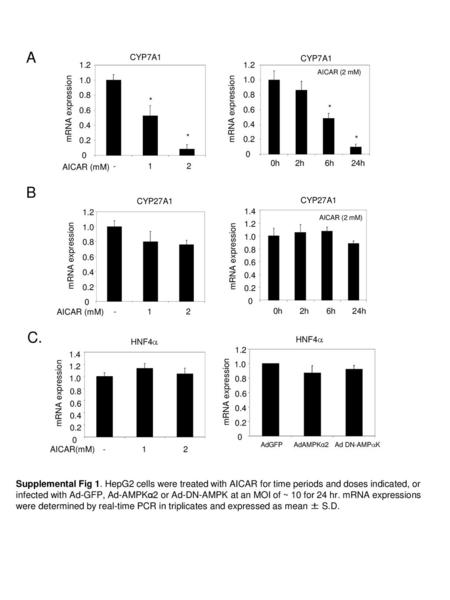 A CYP7A1 CYP7A1 1.2 1.2 AICAR (2 mM) 1.0 1.0 0.8 * 0.8 mRNA expression