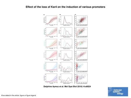 Effect of the loss of Kar4 on the induction of various promoters