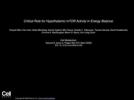 Critical Role for Hypothalamic mTOR Activity in Energy Balance