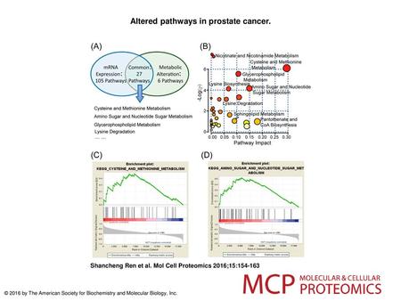 Altered pathways in prostate cancer.