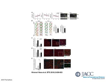 Hironori Hara et al. BTS 2018;3: