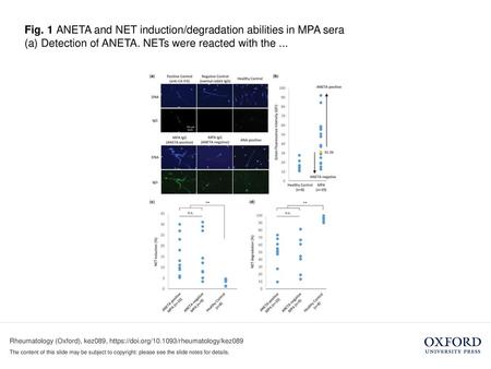 (a) Detection of ANETA. NETs were reacted with the ...