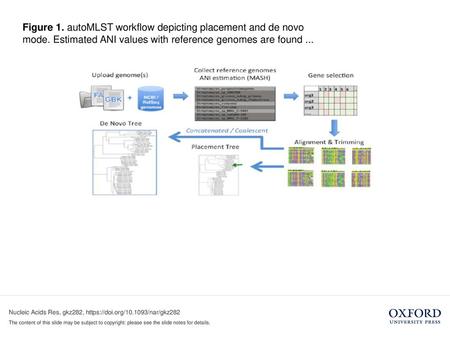 Figure 1. autoMLST workflow depicting placement and de novo mode