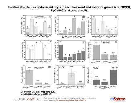 Relative abundances of dominant phyla in each treatment and indicator genera in PyOM300, PyOM700, and control soils. Relative abundances of dominant phyla.