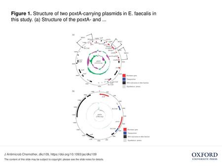 Figure 1. Structure of two poxtA-carrying plasmids in E