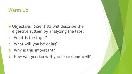 Warm Up Objective: Scientists will describe the digestive system by analyzing the labs. What is the topic? What will you be doing? Why is this important?