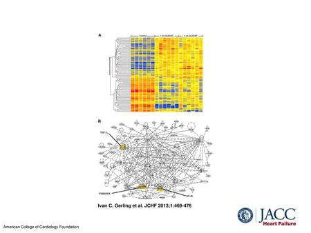 Ivan C. Gerling et al. JCHF 2013;1: