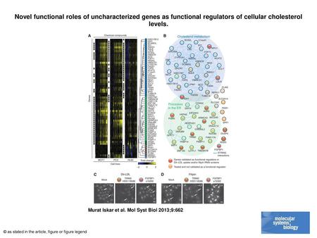 Novel functional roles of uncharacterized genes as functional regulators of cellular cholesterol levels. Novel functional roles of uncharacterized genes.