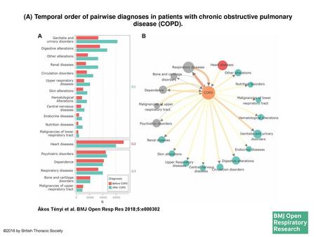 (A) Temporal order of pairwise diagnoses in patients with chronic obstructive pulmonary disease (COPD). (A) Temporal order of pairwise diagnoses in patients.