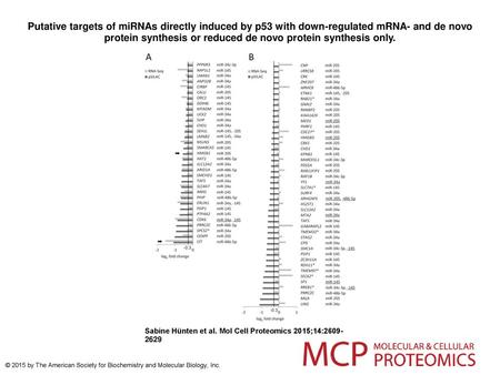 Putative targets of miRNAs directly induced by p53 with down-regulated mRNA- and de novo protein synthesis or reduced de novo protein synthesis only. Putative.