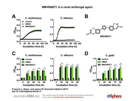 MMV is a novel antifungal agent.