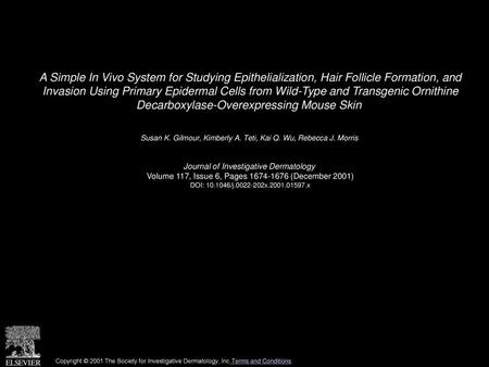 A Simple In Vivo System for Studying Epithelialization, Hair Follicle Formation, and Invasion Using Primary Epidermal Cells from Wild-Type and Transgenic.