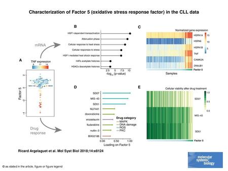 Characterization of Factor 5 (oxidative stress response factor) in the CLL data Characterization of Factor 5 (oxidative stress response factor) in the.