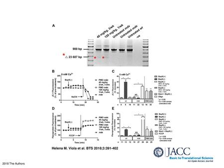 Helena M. Viola et al. BTS 2018;3: