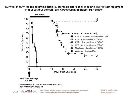 Survival of NZW rabbits following lethal B