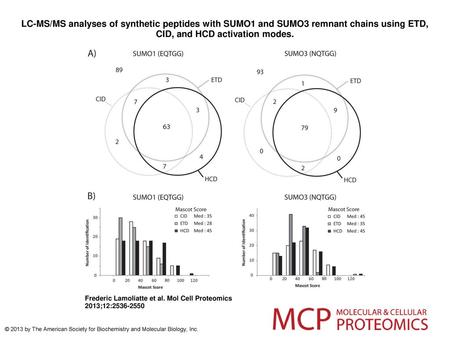 LC-MS/MS analyses of synthetic peptides with SUMO1 and SUMO3 remnant chains using ETD, CID, and HCD activation modes. LC-MS/MS analyses of synthetic peptides.