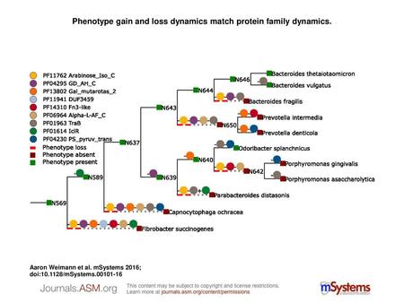 Phenotype gain and loss dynamics match protein family dynamics.