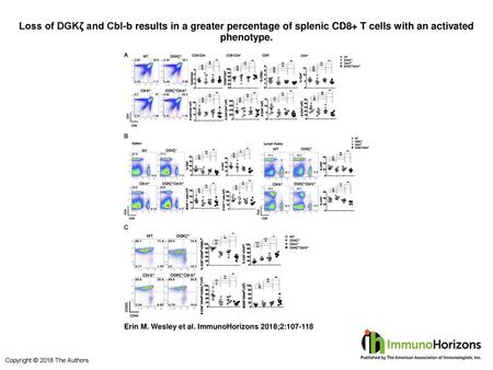 Loss of DGKζ and Cbl-b results in a greater percentage of splenic CD8+ T cells with an activated phenotype. Loss of DGKζ and Cbl-b results in a greater.