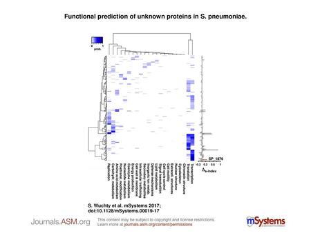 Functional prediction of unknown proteins in S. pneumoniae.