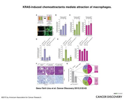 KRAS-induced chemoattractants mediate attraction of macrophages.