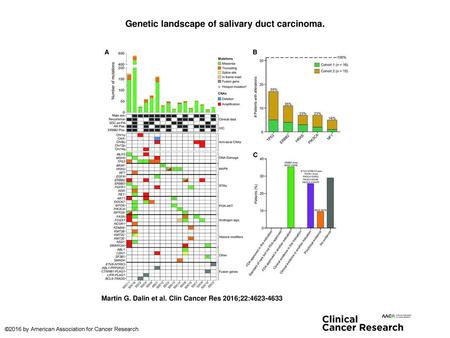 Genetic landscape of salivary duct carcinoma.