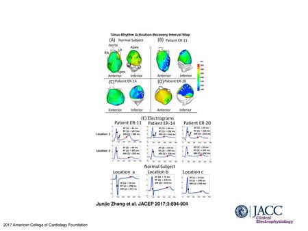 Junjie Zhang et al. JACEP 2017;3: