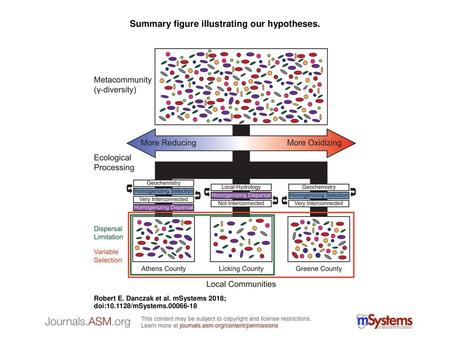 Summary figure illustrating our hypotheses.