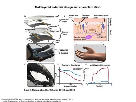 Multilayered e-dermis design and characterization.