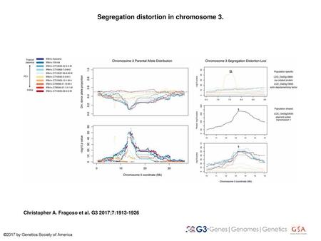 Segregation distortion in chromosome 3.