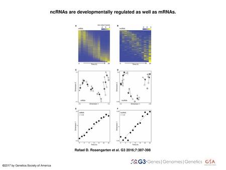 ncRNAs are developmentally regulated as well as mRNAs.