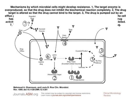 Mechanisms by which microbial cells might develop resistance