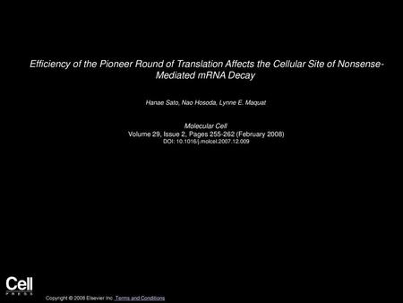 Efficiency of the Pioneer Round of Translation Affects the Cellular Site of Nonsense- Mediated mRNA Decay  Hanae Sato, Nao Hosoda, Lynne E. Maquat  Molecular.