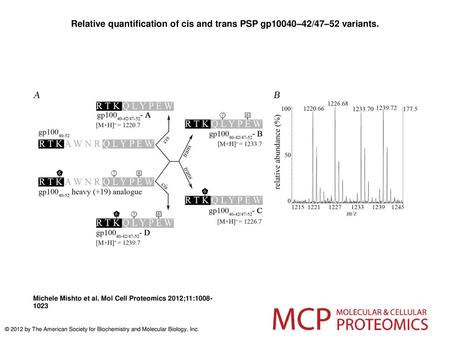 Relative quantification of cis and trans PSP gp10040–42/47–52 variants