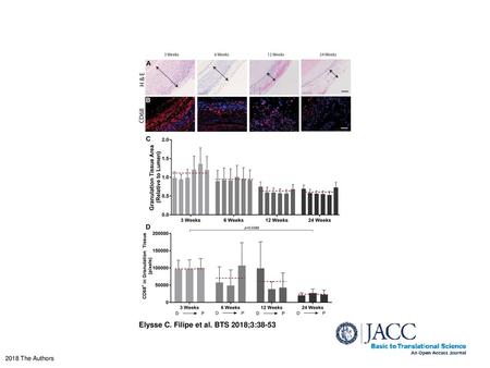 Elysse C. Filipe et al. BTS 2018;3:38-53