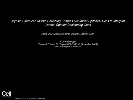 Myosin 2-Induced Mitotic Rounding Enables Columnar Epithelial Cells to Interpret Cortical Spindle Positioning Cues  Soline Chanet, Rishabh Sharan, Zia.