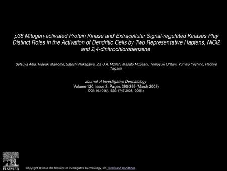 P38 Mitogen-activated Protein Kinase and Extracellular Signal-regulated Kinases Play Distinct Roles in the Activation of Dendritic Cells by Two Representative.