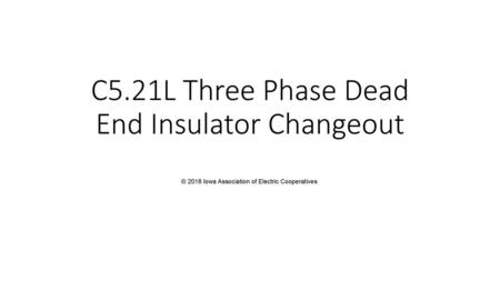 C5.21L Three Phase Dead End Insulator Changeout