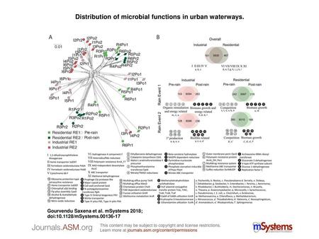 Distribution of microbial functions in urban waterways.