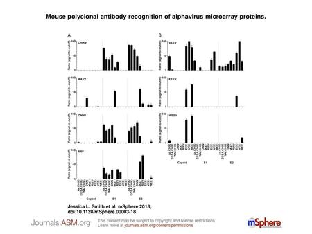 Mouse polyclonal antibody recognition of alphavirus microarray proteins. Mouse polyclonal antibody recognition of alphavirus microarray proteins. Mouse.