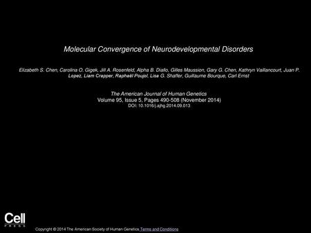 Molecular Convergence of Neurodevelopmental Disorders