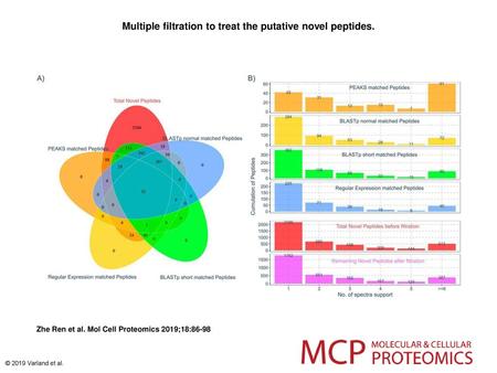 Multiple filtration to treat the putative novel peptides.