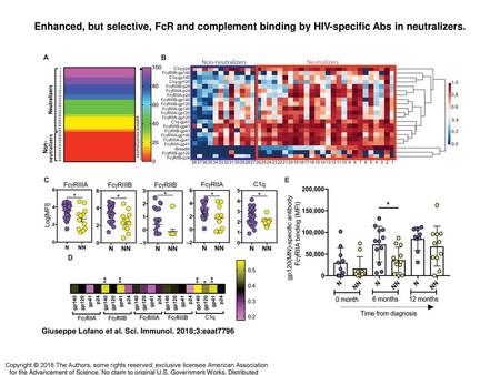 Enhanced, but selective, FcR and complement binding by HIV-specific Abs in neutralizers. Enhanced, but selective, FcR and complement binding by HIV-specific.