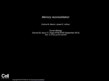 Memory reconsolidation