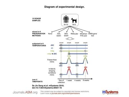 Diagram of experimental design.