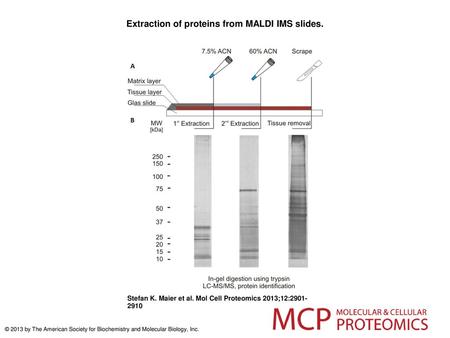 Extraction of proteins from MALDI IMS slides.