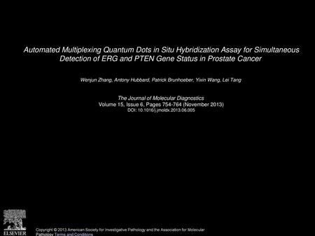 Automated Multiplexing Quantum Dots in Situ Hybridization Assay for Simultaneous Detection of ERG and PTEN Gene Status in Prostate Cancer  Wenjun Zhang,