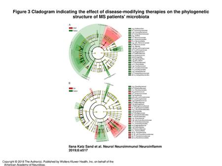 Figure 3 Cladogram indicating the effect of disease-modifying therapies on the phylogenetic structure of MS patients' microbiota Cladogram indicating the.